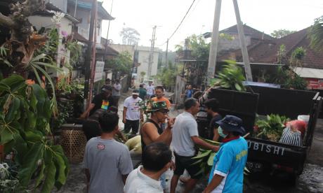 Pemberantasan Sarang Nyamuk