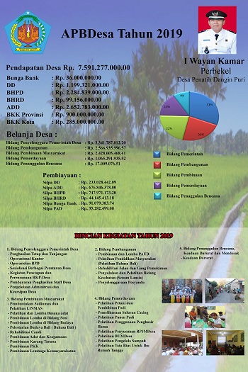 Laporan Pertanggung Jawaban Realisasi Anggaran Pendapatan dan Belanja Desa Tahun Anggaran 2019
